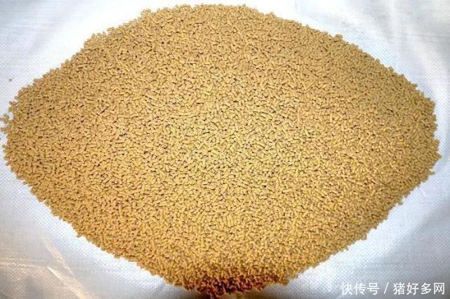 2000亿播恩引领饲料4.0时代 推动生物饲料标准制定，赋能畜牧技术革新