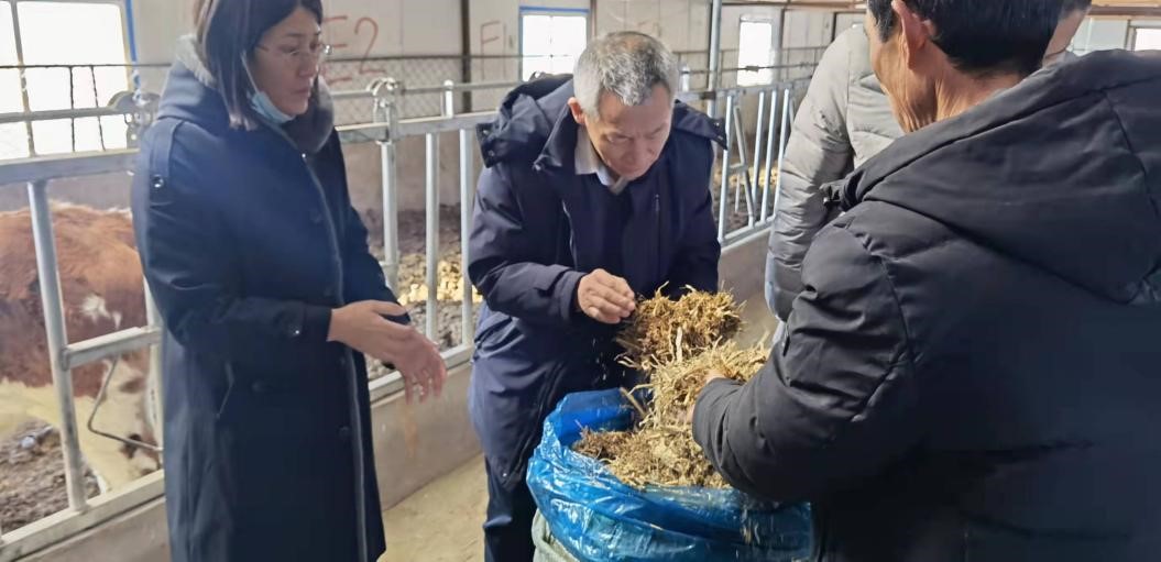 吉林省畜牧局张友良处长一行调研长春示范区 对畜牧饲料技术开发提出指导意见